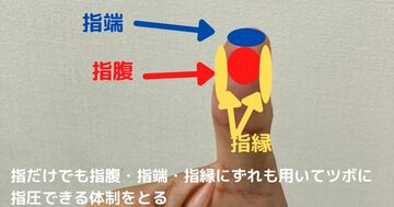 指腹・指端・指縁