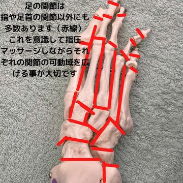 足の関節