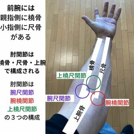指圧　マッサージ　肘関節