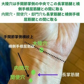 経絡　指圧マッサージ
