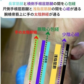 経絡　指圧マッサージ