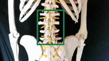 腰椎