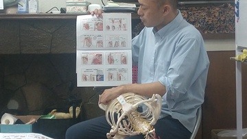 解剖学説明