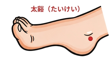太谿のツボ