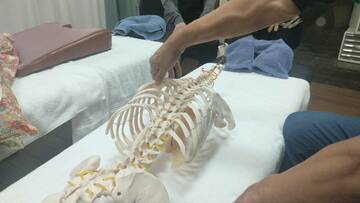 【プロ直伝】脊柱・肋骨の触診技術と「垂直圧」を極める指圧のコツ