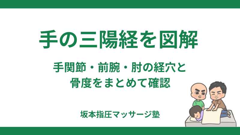 手の三陽経を図解｜手関節・前腕・肘の経穴と骨度をまとめて確認