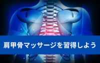 効果的な肩甲骨の指圧マッサージをするためには筋肉の走行を理解しよう