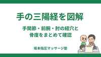 手の三陽経を図解｜手関節・前腕・肘の経穴と骨度をまとめて確認